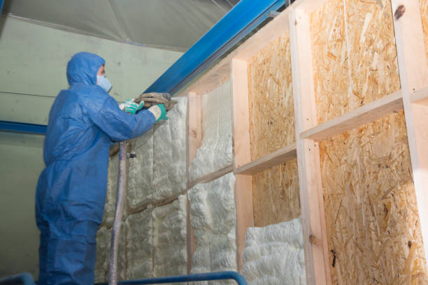Best Affordable Insulation Services  in Lancaster, KY